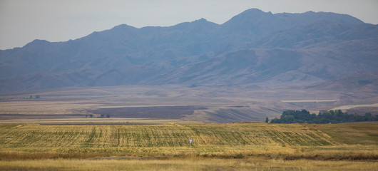 Fototapeta na wymiar autumn landscape with a wheat meadow and mountains