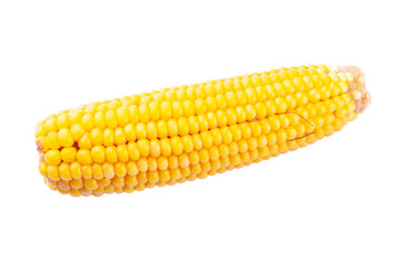 boiled sweet corn on a white background isolate