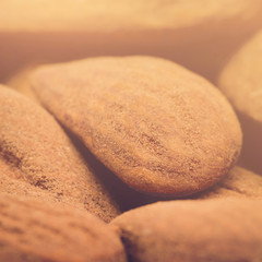 Almonds Macro in Sunlight