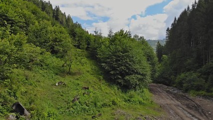 Search Photos Transylvania