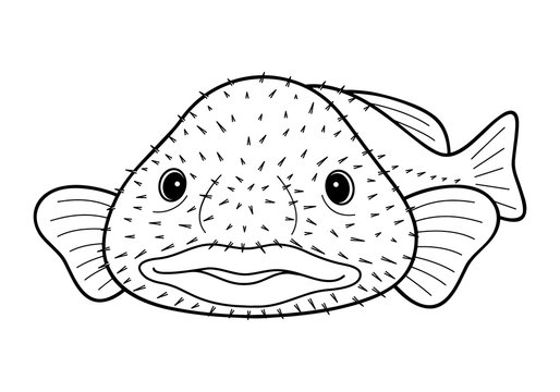 90 件の最適な Blobfish 画像 ストック写真 ベクター Adobe Stock 90 件の最適な Blobfish 画像 ストック写真 ベクター Adobe Stock