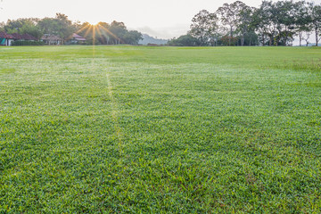Lawn with dew in the morning