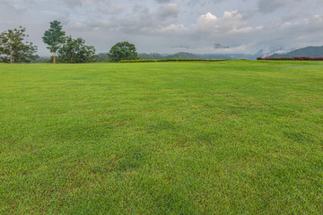 Lawn with dew in the morning