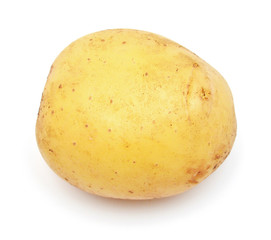 Young potato isolated on white background. Harvest new. Flat lay, top view