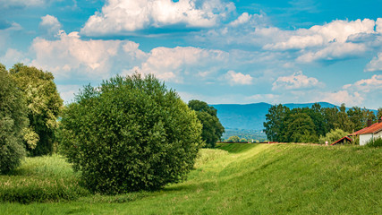 Fototapeta na wymiar Beautiful view at Steinkirchen, Danube, Bavaria, Germany