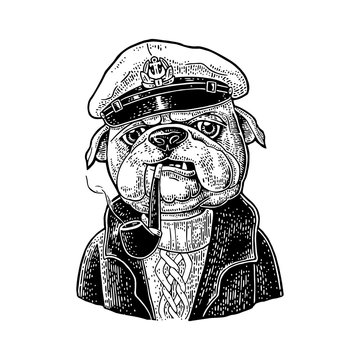 Sea dog smoking pipe and dressed in captain hat. Engraving