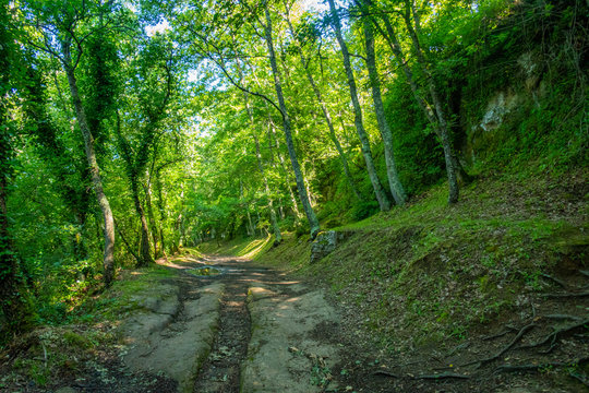 Il sentiero nel bosco che attraversa l'insediamento rupestre di Vitozza, Lazio, Italia