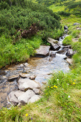 Brook in the mountains