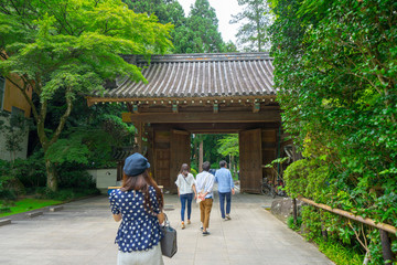 Fototapeta na wymiar 京都の観光　梅