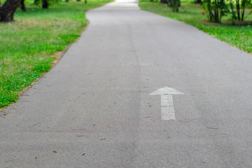 Obraz premium Bicycle or jogging sports track with copy space. Sign the direction of movement of white paint on asphalt, selective focus.