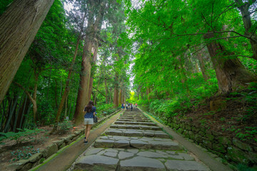 松島の寺の庭園
