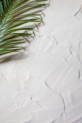 Tropical beach. Green palm leaf lies on the white fine sand. Close-up, top view, desktop wallpaper.