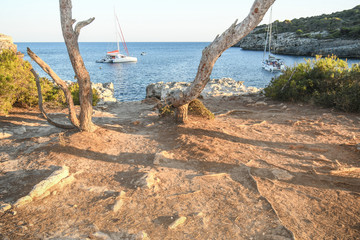 Typical cove of the Balearic Islands, with foreground trees and boats in the background in Menorca