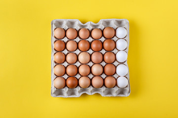 chicken eggs in a cardboard tray