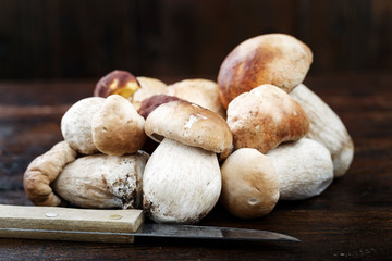 boletus harvest on the table