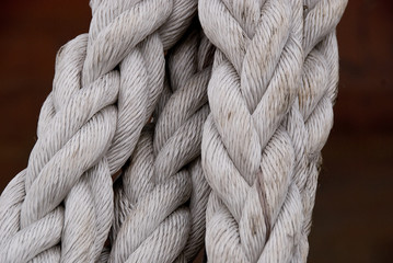 vessels trussing