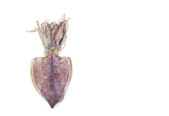 Dry squid in raw on white background 
