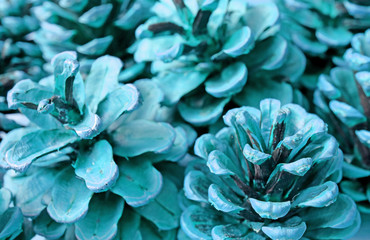 Pop Art Styled Heap of Dry Pine Cones in Turquoise Blue Color