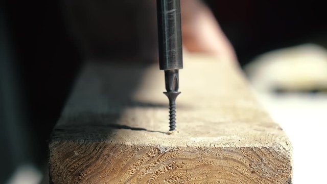 the worker tightens the screw with a screwdriver. Screws screwdriver twist in wooden board. lifestyle Joinery and construction work close up. screw out the screw