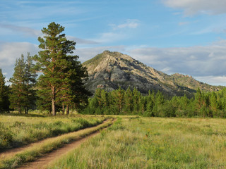 Landscape with pine and road..Kyzyl-Kensh National Park. Mountains Kent, Kazakhstan.