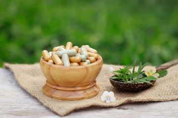 Herbal medicine supplement for god healthy living lifestyle 