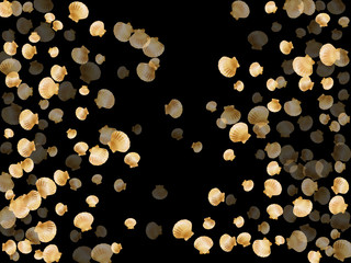 Gold seashells vector, golden pearl bivalved mollusks.