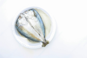 mackerel  fish on white background 