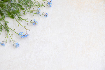 Blue myosotis flowers on a light background. The basis for creating albums and postcards. Flowers -...