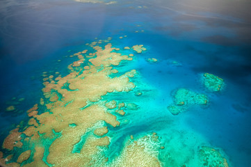 Coral reef and sea in Fiji Islands