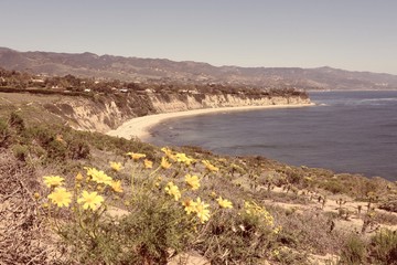 Malibu - Point Dume. Filtered colors style.
