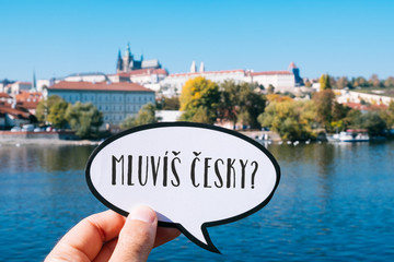 Fototapeta question do you speak Czech? in Czech obraz