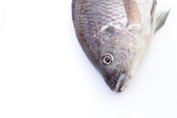 Tilapia fish on white background  