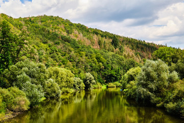 Fototapeta na wymiar Sazava river