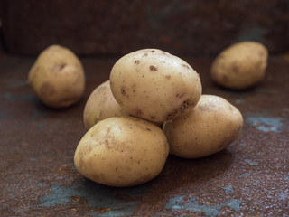 Fresh, ugly yellow potatoes on a rusty iron background. Close up