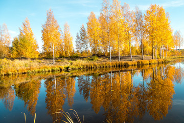 Autumn between villages  nature and water in Scandinavia