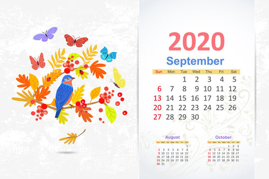 fancy pretty bird in autumn nature. calendar 2020 design, septem