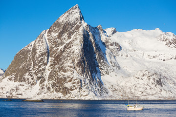 fishing boat at the Lofoten Islands