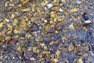 Background with flowing water (stream) and rocks.