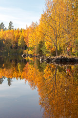 Beautiful nature in Scandinavian autumn
