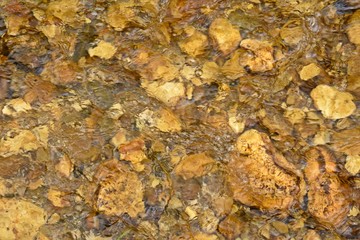 Background with flowing water (stream) and rocks.