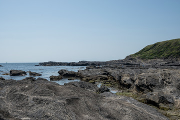 Fototapeta na wymiar 城ヶ島 岩石海岸