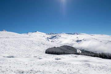 Sierra Nevada