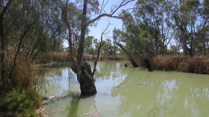 australien outback landschaft