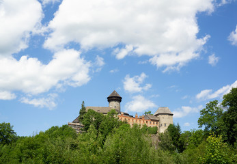 Fototapeta na wymiar Sovinec, Czech Republic / Czechia - historical castle from medieval age 