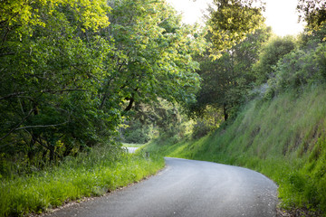 Country Road