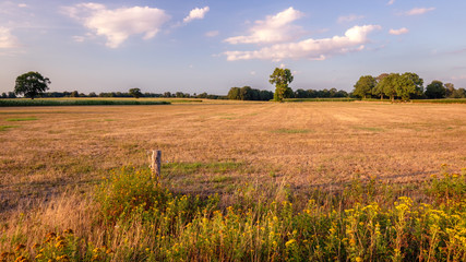 Sunset at a typical Dutch farm landscape in the summer month of August. This landscape is near the...