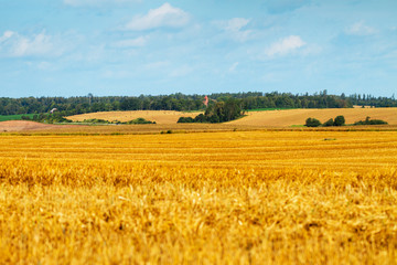 View to country landscape.