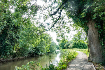 A riverside path along The River Kennet at Reading in the Berkshire countryside.