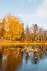 Beautiful nature in Scandinavian autumn