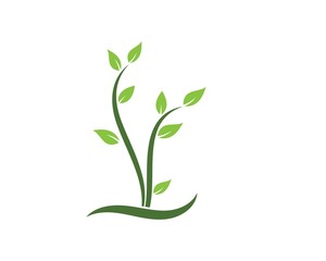 plant  icon logo vector illustration design